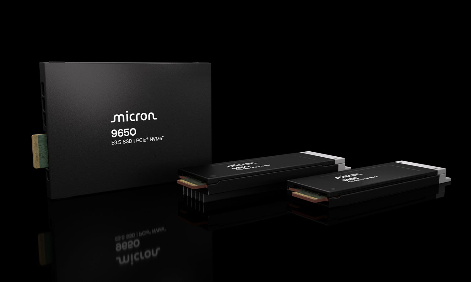 Micron 9650 NVMe™ SSD product family